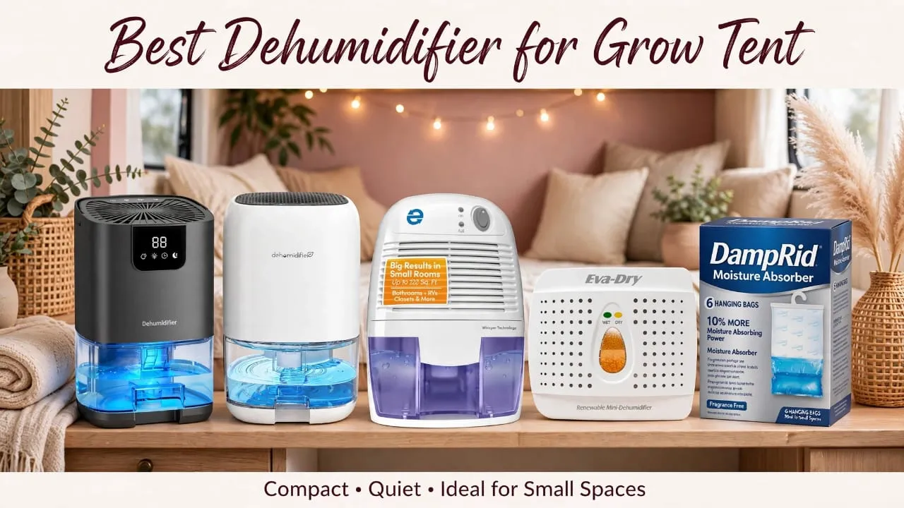 Best Dehumidifier for Grow Tent