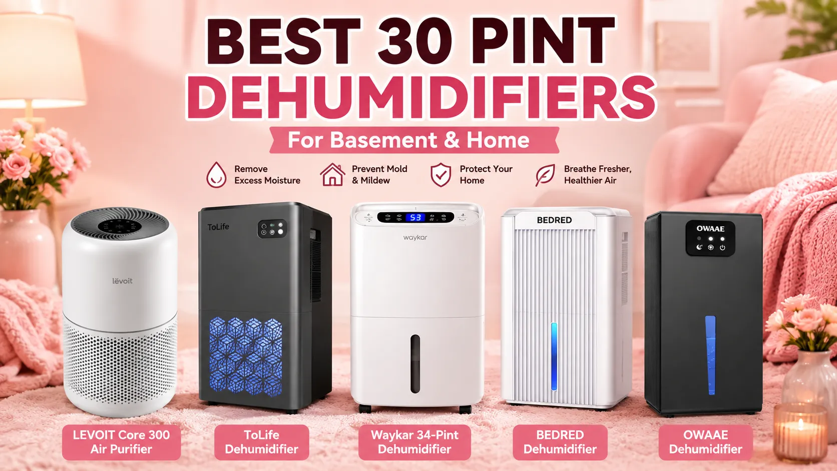 Best 30 Pint Dehumidifiers for Basement
